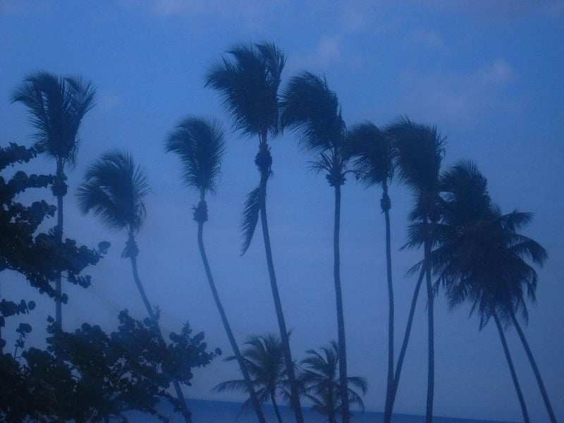Peaceful Swaying
